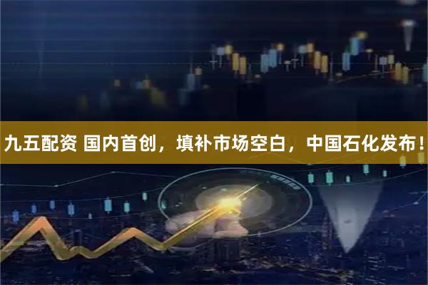 九五配资 国内首创，填补市场空白，中国石化发布！