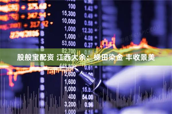 股般宝配资 江西大余：梯田染金 丰收景美