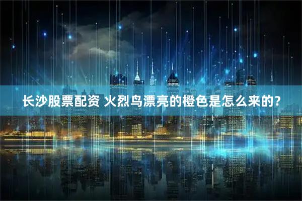 长沙股票配资 火烈鸟漂亮的橙色是怎么来的？